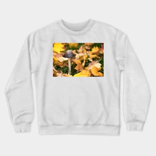 Autumn Mushroom Crewneck Sweatshirt